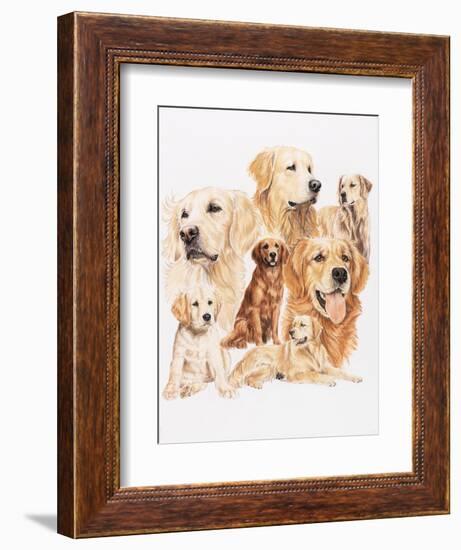 Golden Retriever-Barbara Keith-Framed Giclee Print