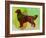 Golden Retriever-NaxArt-Framed Art Print