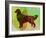 Golden Retriever-NaxArt-Framed Art Print