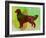 Golden Retriever-NaxArt-Framed Art Print