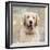 Golden Retriever-Keri Rodgers-Framed Art Print