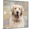 Golden Retriever-Keri Rodgers-Mounted Art Print