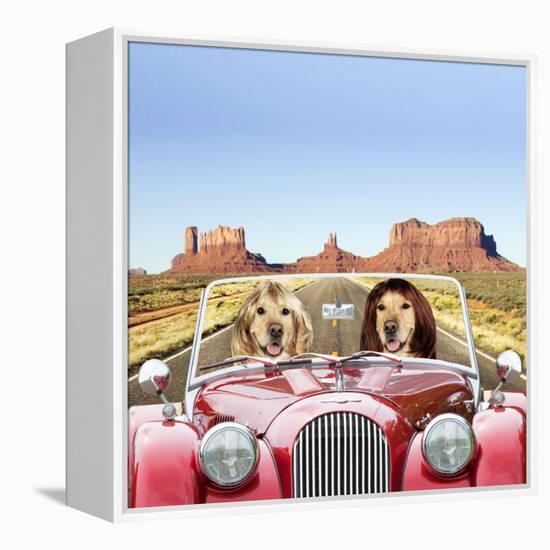 Golden Retrievers Driving Car Through Desert Scene-null-Framed Premier Image Canvas