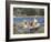 Golden Retrievers in Boat, USA-Lynn M^ Stone-Framed Photographic Print