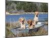 Golden Retrievers in Boat, USA-Lynn M^ Stone-Mounted Photographic Print