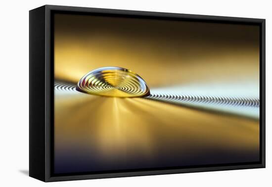 Golden Rings 2-Heidi Westum-Framed Premier Image Canvas