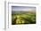 Golden ripened corn growing in a hilltop field in rural Devon, England. Summer (June) 2009-Adam Burton-Framed Photographic Print