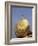 Golden Rock, the Balancing Boulder Temple of Kyaikbyo, Myanmar (Burma)-Alison Wright-Framed Photographic Print