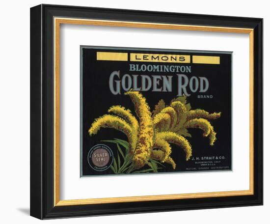 Golden Rod Brand - Bloomington, California - Citrus Crate Label-Lantern Press-Framed Art Print