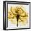 Golden Rose Close-Up-Albert Koetsier-Framed Art Print