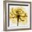 Golden Rose Close-Up-Albert Koetsier-Framed Art Print