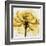 Golden Rose Close-Up-Albert Koetsier-Framed Art Print