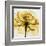 Golden Rose Close-Up-Albert Koetsier-Framed Art Print