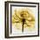 Golden Rose Close-Up-Albert Koetsier-Framed Art Print