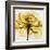 Golden Rose Close-Up-Albert Koetsier-Framed Art Print