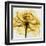 Golden Rose Close-Up-Albert Koetsier-Framed Art Print