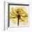 Golden Rose Close-Up-Albert Koetsier-Framed Art Print