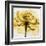 Golden Rose Close-Up-Albert Koetsier-Framed Art Print