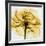 Golden Rose Close-Up-Albert Koetsier-Framed Giclee Print