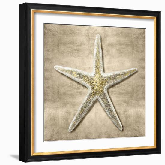 Golden Sea Life I-Caroline Kelly-Framed Art Print