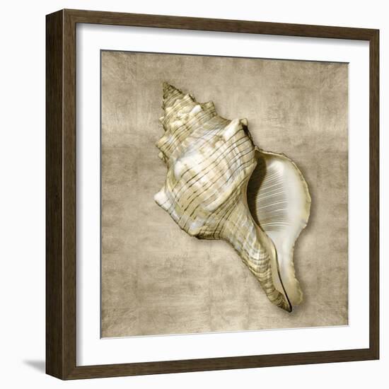 Golden Sea Life III-Caroline Kelly-Framed Art Print