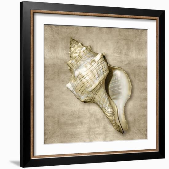 Golden Sea Life III-Caroline Kelly-Framed Art Print