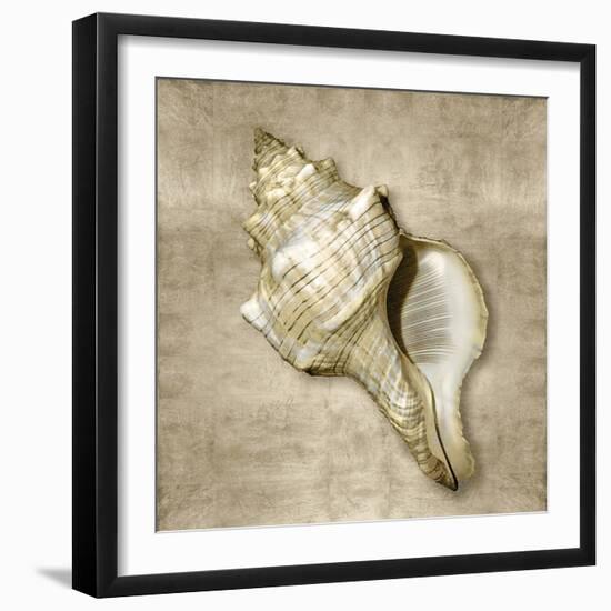 Golden Sea Life III-Caroline Kelly-Framed Art Print