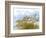 Golden Sea Oats Waving in the Breach on a Pristine Beach in Pensacola, Florida-forestpath-Framed Photographic Print