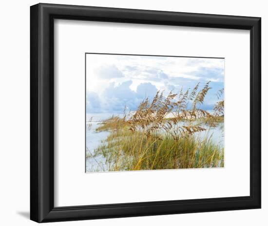 Golden Sea Oats Waving in the Breach on a Pristine Beach in Pensacola, Florida-forestpath-Framed Photographic Print