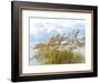 Golden Sea Oats Waving in the Breach on a Pristine Beach in Pensacola, Florida-forestpath-Framed Photographic Print