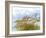 Golden Sea Oats Waving in the Breach on a Pristine Beach in Pensacola, Florida-forestpath-Framed Photographic Print