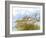 Golden Sea Oats Waving in the Breach on a Pristine Beach in Pensacola, Florida-forestpath-Framed Photographic Print