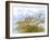 Golden Sea Oats Waving in the Breach on a Pristine Beach in Pensacola, Florida-forestpath-Framed Photographic Print