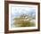 Golden Sea Oats Waving in the Breach on a Pristine Beach in Pensacola, Florida-forestpath-Framed Photographic Print