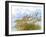 Golden Sea Oats Waving in the Breach on a Pristine Beach in Pensacola, Florida-forestpath-Framed Photographic Print