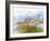 Golden Sea Oats Waving in the Breach on a Pristine Beach in Pensacola, Florida-forestpath-Framed Photographic Print