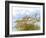 Golden Sea Oats Waving in the Breach on a Pristine Beach in Pensacola, Florida-forestpath-Framed Photographic Print