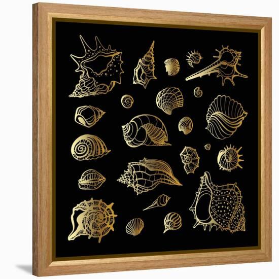 Golden Sea Shell. Collection of Seashells-Katya Ulitina-Framed Stretched Canvas