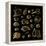Golden Sea Shell. Collection of Seashells-Katya Ulitina-Framed Stretched Canvas