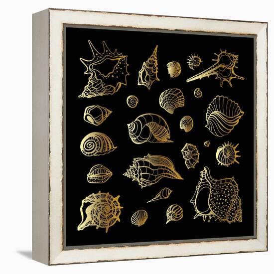 Golden Sea Shell. Collection of Seashells-Katya Ulitina-Framed Stretched Canvas