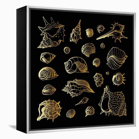 Golden Sea Shell. Collection of Seashells-Katya Ulitina-Framed Stretched Canvas