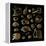 Golden Sea Shell. Collection of Seashells-Katya Ulitina-Framed Stretched Canvas