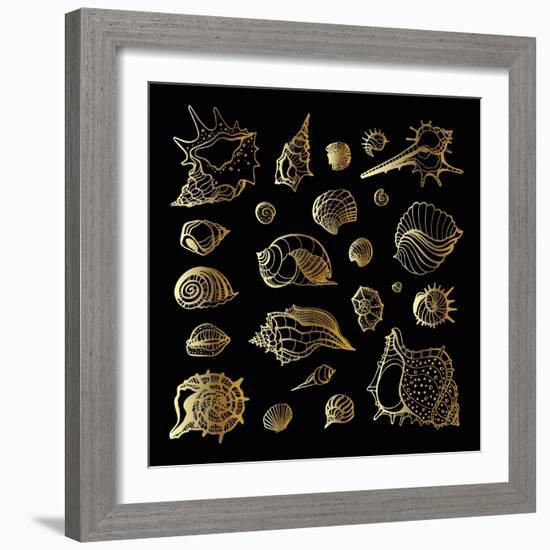 Golden Sea Shell. Collection of Seashells-Katya Ulitina-Framed Art Print