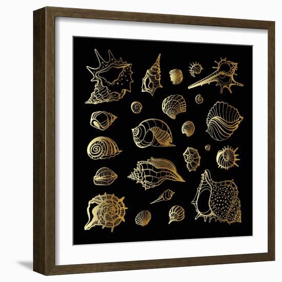 Golden Sea Shell. Collection of Seashells-Katya Ulitina-Framed Art Print