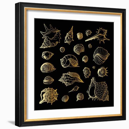 Golden Sea Shell. Collection of Seashells-Katya Ulitina-Framed Art Print