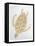 Golden Sea Turtle-Pam Varacek-Framed Stretched Canvas