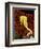 Golden Seahorse, Portraits, UK-Jane Burton-Framed Premium Photographic Print