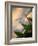 Golden Shadows-Nicole Katano-Framed Photo