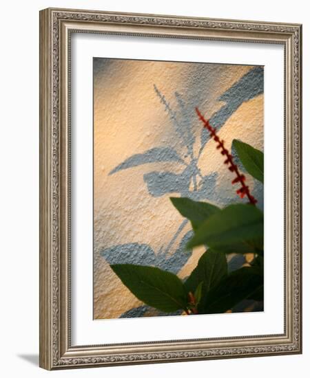 Golden Shadows-Nicole Katano-Framed Photo