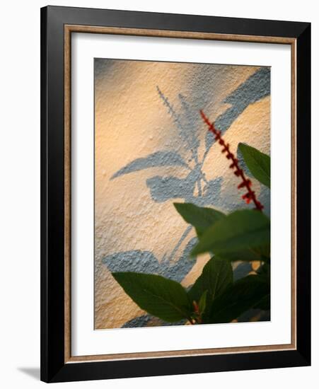 Golden Shadows-Nicole Katano-Framed Photo